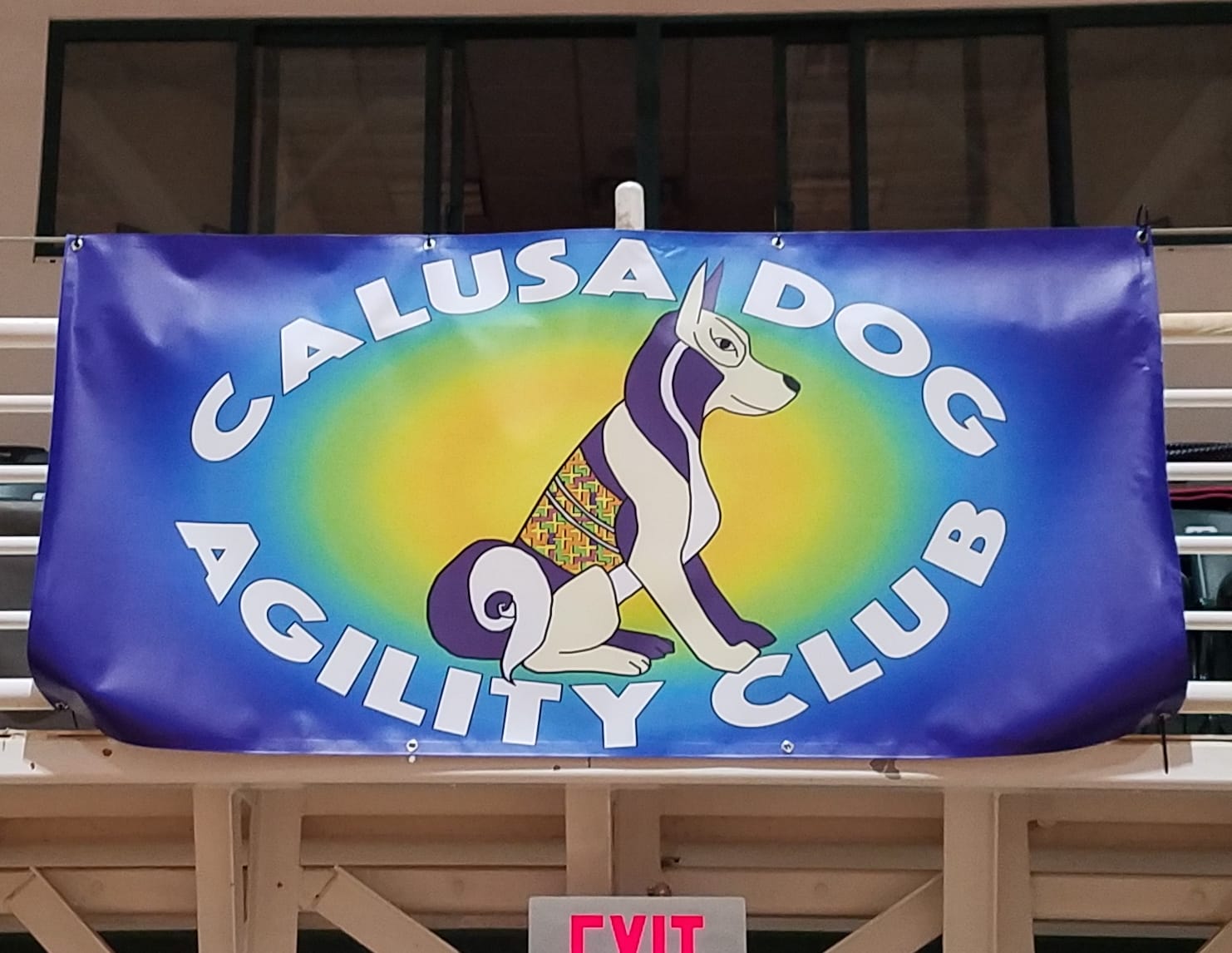 Calusa Dog Agility Club banner