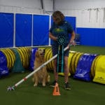 Beverly Mapes and her Golden Retriever "Cosmo" with PACH ribbon and bar at Ann Arbor Dog Training Club, Ann Arbor MI