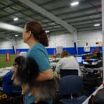 woman holding pomeranian and watching agility trial at Ann Arbor Dog Training Club, Ann Arbor MI