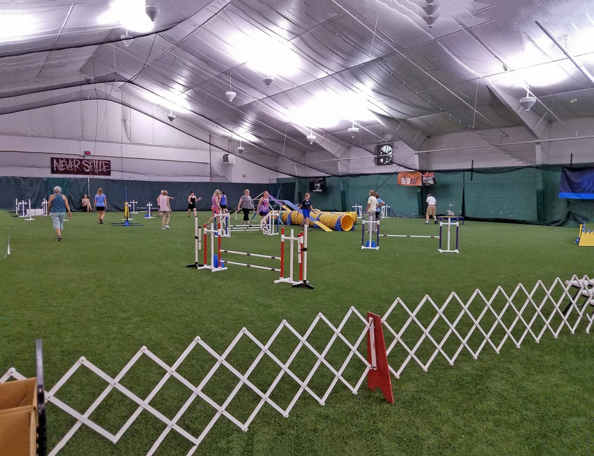 agility ring set up with a standard course at Sports Domain Academy, Cliifton NJ