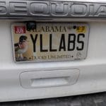 License Plate "YLLABS" Middle Tennessee State University Livestock Arena, Murfreesboro TN