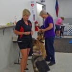 Good Dogs Getting Treats Fusion Pet Retreat, Minnetonka MN