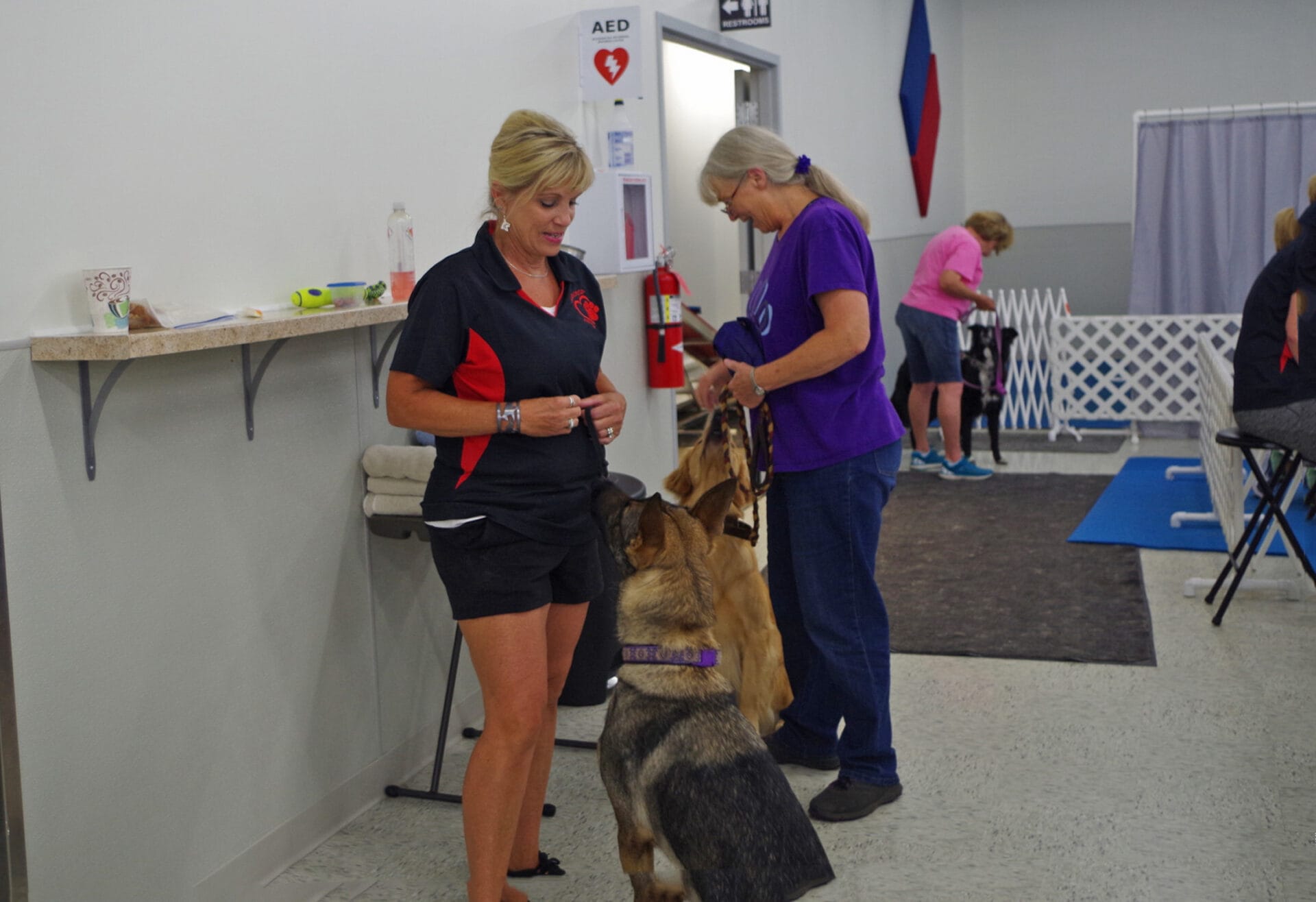 Fusion Pet Retreat - Dog Agility Trials