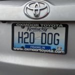 License Plate "h2o dog" Silver Street Park, New Albany IN
