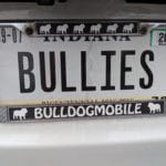 License Plate "bullies" at Silver Street Park, New Albany IN