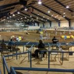 Almost floor level view of the Agility Arena at Middle Tennessee State University Livestock Arena, Murfreesboro TN