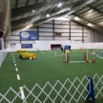 Standard agility ring on turf at Carroll Indoor Sports Center, Westminster MD