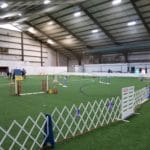 Jumpers with weaves agility ring on turf at Carroll Indoor Sports Center, Westminster MD