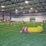 Agility Ring Soccer World, Rochester MN