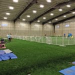 Agility Ring on turf with crates spaced 30 feet from gating at Silver Street Park, New Albany IN