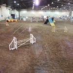 Woman with border collie in start line stay of agility trial at Lane County Fairgrounds, Eugene OR