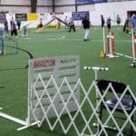 MadAgility ring entry gate at Carroll Indoor Sports Center, Westminster MD