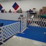 PVC gating and MAD Agility spring Entry Gate to agility ring Fusion Pet Retreat, Minnetonka MN
