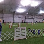 Jumpers Ring Sports Domain Academy, Clifton NJ