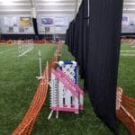 Tall black curtains separating agility rings with orange snow-fencing on each side at Nex Level Arena, Flemington NJ