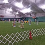 Standard Ring Sports Domain Academy, Clifton NJ