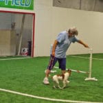 Warm Up Jump, no gating around it, at Soccer World, Rochester MN