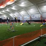 Agility ring set up for a Standard course at Nex Level Arena, Flemington NJ