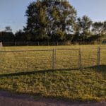 Fenced-in grassy area for dogs to run around Pawsitive Partners, Indianapolis IN