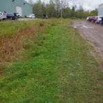 Grassy strip for dog pottying next to dirt parking lot at South St. Louis County Fairgrounds, Dirt Floor Arena, Proctor MN