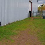 Grassy dog potty area next to back door of arena building at South St. Louis County Fairgrounds, Dirt Floor Arena, Proctor MN