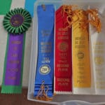 New title rosette and first through 4th place flat ribbons, South St. Louis County Fairgrounds, Dirt Floor Arena, Proctor MN