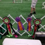 PACH ribbons given by Berks County Dog Training Club and Fast Times Agility, at Yellow Breeches Sports Center, New Cumberland PA