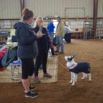 Two women talking next to a Border Collie who clearly wants the food one has, at South St. Louis County Fairgrounds, Dirt Floor Arena, Proctor MN