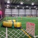 Agility ring set up for jumpers class on turf at Yellow Breeches Sports Center, New Cumberland PA