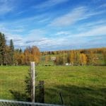Alaskan pasture surrounded by fence near Camp Li-Wa, Fairbanks AK
