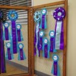 MACH, PACH, AGCH ribbons-Tri County Agility Club at National Equestrian Center, Lake St. Louis MO