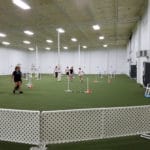 walking the jumpers course on a turf floor agility ring at Dog Training Club of St. Petersburg, St. Petersburg FL