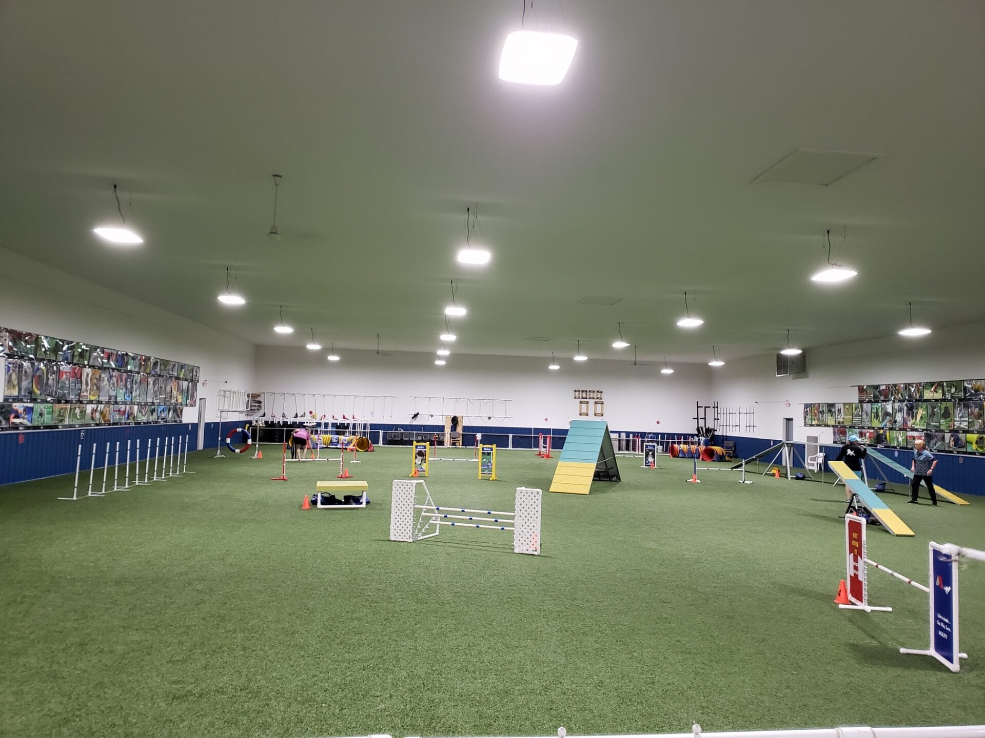 agility ring at all dogs can, lapeer mi