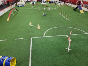 Overhead view of agility ring 1