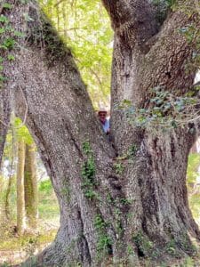 2nd largest oak tree in Florida on the property - unofficially