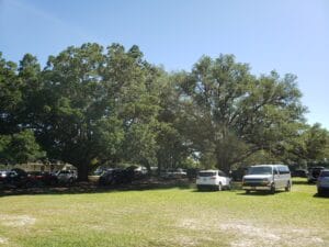 parking at paw's n que's under large oak trees