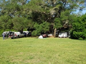 cars parked and dog crating and outdoor crating at paw's n que's under large oak trees