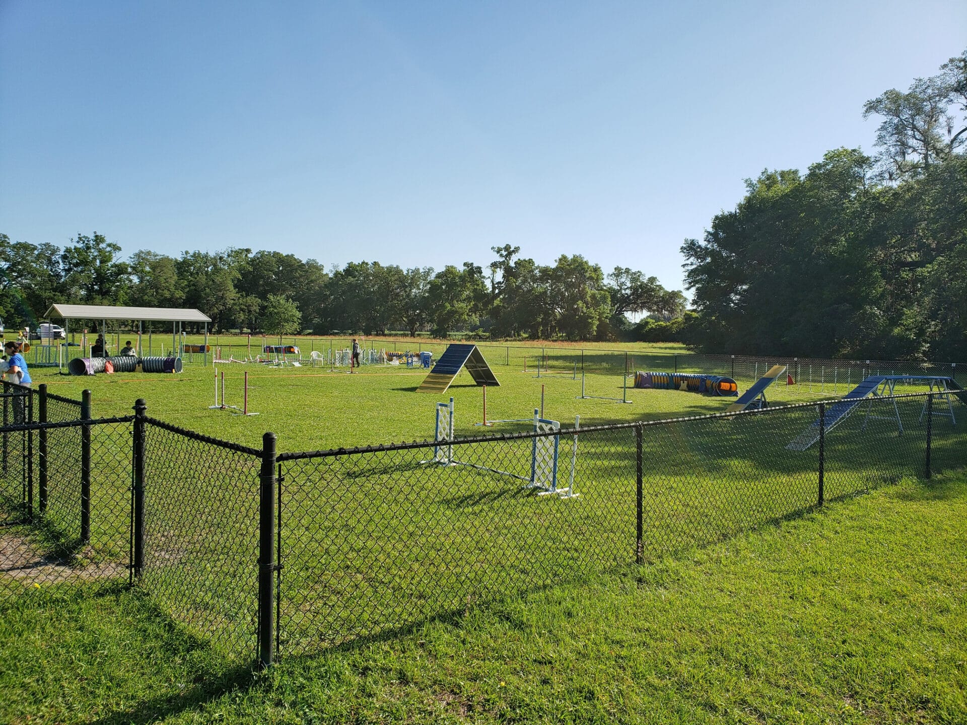 outdoor agility ring at paw's n que's, williston fl