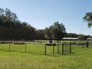 agility ring on the left side at paw's n que's in williston fl