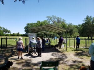 staging and check-in area at paw's n que's agility trial, williston fl