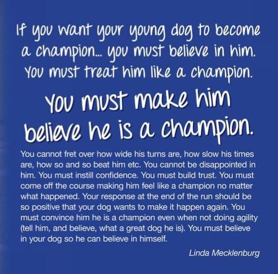 Quote from Linda Mecklenburg about believing your dog is a champion