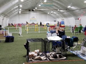 agility ring with crating and seating in front at highest hope dog sports, grand blanc mi