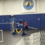cocker spaniel on dog walk - cudahy kennel club agility trial, st. francis, wi