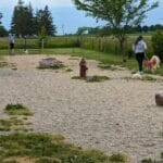 dog potty area 1 agility at the farm campton hills il