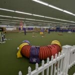 agility ring view 1 at pinnacle dog sports, westlake oh