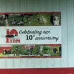 banner for 10th anniversary in 2021 - agility at the farm, campton hills, IL