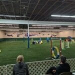 agility ring at forest city dog training club in love's park il